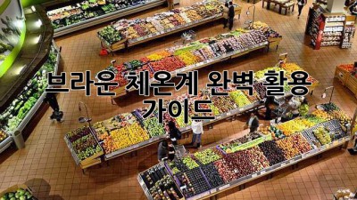브라운 체온계 완벽 활용 가이드