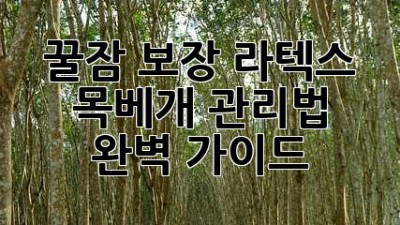 꿀잠 보장! 라텍스 목베개 관리법 완벽 가이드